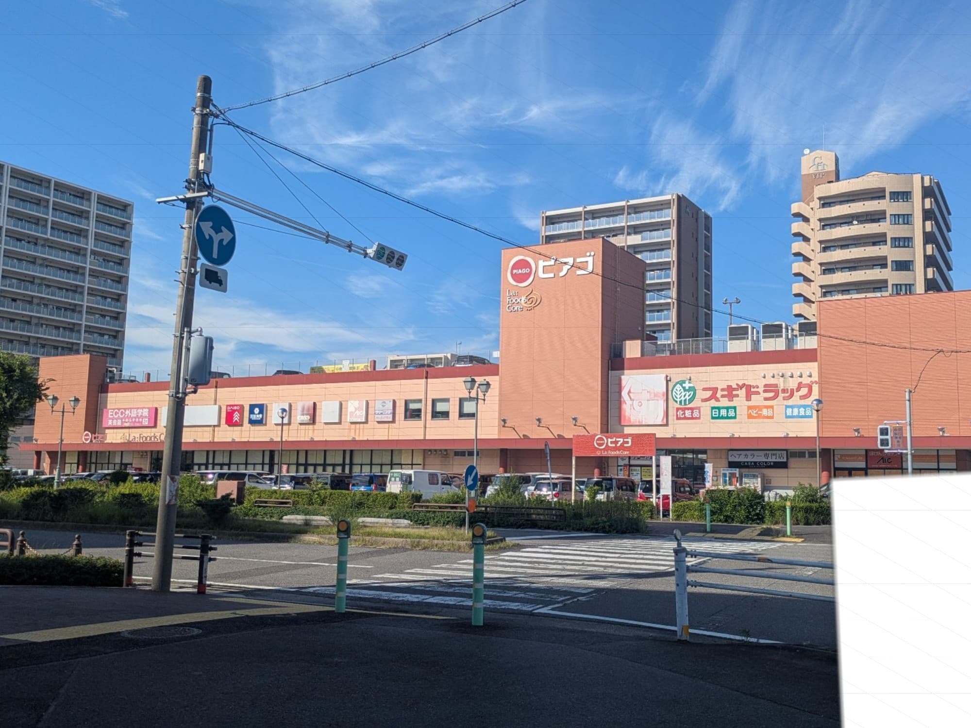 JR三河安城駅からほど近いラフーズコアとして出店したピアゴ。自動車圏内に同じくユニーのピアゴ福釜店(元ユーストア)があり、ラフーズコアはより商品・品揃えをこだわっていたので棲み分けできていただろうが、PPIH傘下入り後はあまり違いがわからなくなってしまった。
衣料品まで投入し、実質スーパーセンター。
開店から20年近くたったが、売り場はきれいなままで顧客も多くいた。